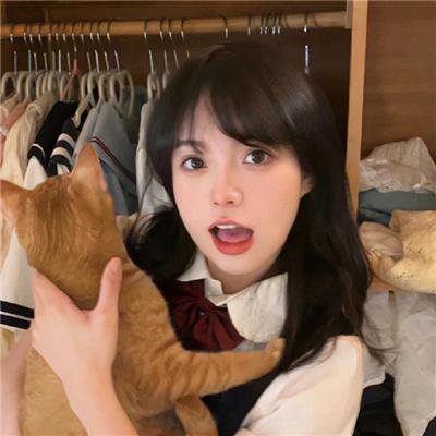 野猪大改造